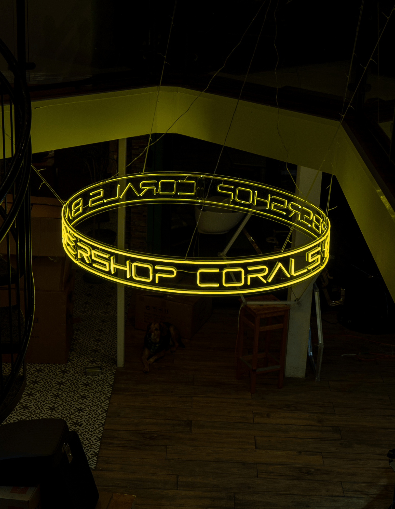 Hängande 360° Neon Taklampa med Anpassad Text