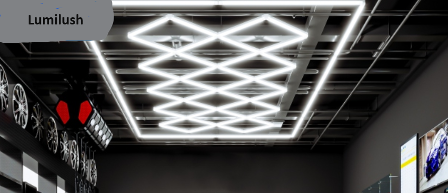 LED-belysningssystem Lumilush 2,43m x 4,84m
